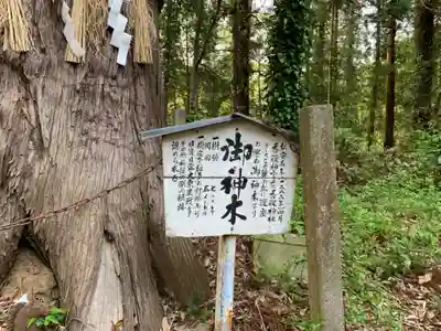 香取神社(千葉県)