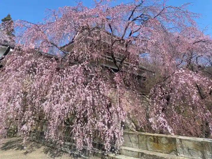 眞田神社の{uncategorized: "未分類", other: "その他", undefined: "問題あり", building: "その他建物", grave: "お墓", sacred_gate: "鳥居", guardian: "狛犬", statue: "像", buddha: "仏像", history: "歴史", nature: "自然", garden: "庭園", animal: "動物", pagoda: "塔", temizu: "手水舎", mountain_gate: "山門・神門", sanctuary: "本殿・本堂", subordinate: "末社・摂社", art: "芸術", scenery: "景色", jizo: "地蔵", ema: "絵馬", goshuin: "御朱印", omikuji: "おみくじ", items: "授与品その他", amulet: "お守り", goshuincho: "御朱印帳", eats: "食事", festival: "お祭り", votive_dance: "神楽", shichigosan: "七五三参", wedding: "結婚式", experience: "体験その他", initially: "初詣", around: "周辺", anti_infection: "感染症対策"}