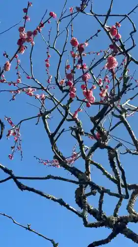 瑞泉寺の{uncategorized: "未分類", other: "その他", undefined: "問題あり", building: "その他建物", grave: "お墓", sacred_gate: "鳥居", guardian: "狛犬", statue: "像", buddha: "仏像", history: "歴史", nature: "自然", garden: "庭園", animal: "動物", pagoda: "塔", temizu: "手水舎", mountain_gate: "山門・神門", sanctuary: "本殿・本堂", subordinate: "末社・摂社", art: "芸術", scenery: "景色", jizo: "地蔵", ema: "絵馬", goshuin: "御朱印", omikuji: "おみくじ", items: "授与品その他", amulet: "お守り", goshuincho: "御朱印帳", eats: "食事", festival: "お祭り", votive_dance: "神楽", shichigosan: "七五三参", wedding: "結婚式", experience: "体験その他", initially: "初詣", around: "周辺", anti_infection: "感染症対策"}