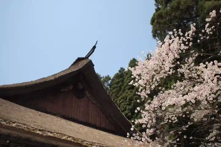 慈恩寺の本殿・本堂