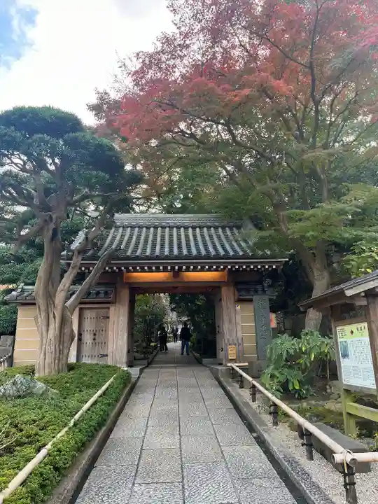 報国寺(神奈川県)