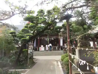 鳩森八幡神社のその他建物