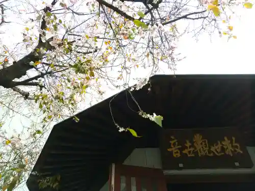 宗慶寺(東京都)