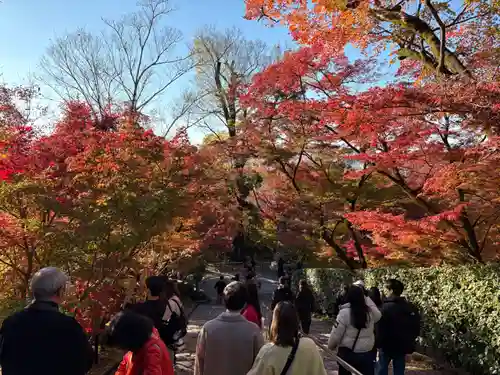 禅林寺（永観堂）(京都府)