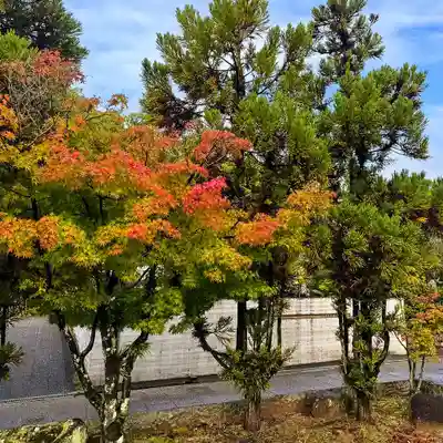 伊勢の国 四天王寺(三重県)