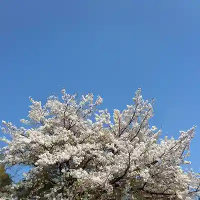 大久保青木神社(神奈川県)
