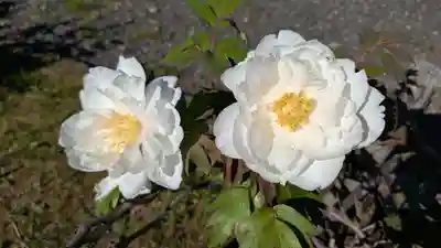 真宗大谷派札幌別院(北海道)