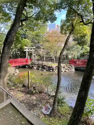 富岡八幡宮(東京都)
