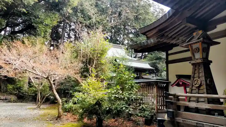 龍尾神社(静岡県)
