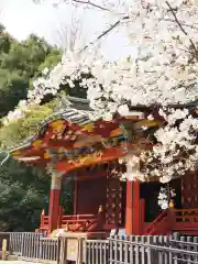 金王八幡宮の自然