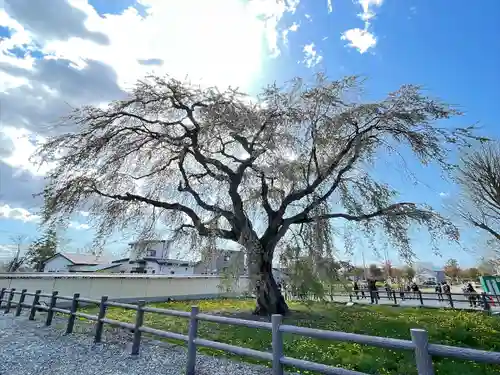 法亀寺(北海道)