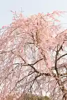 無量寺(愛媛県)