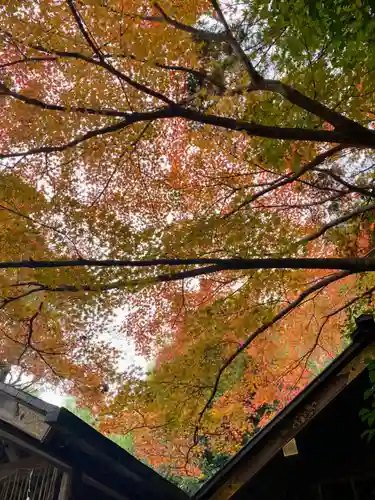 野宮神社(京都府)