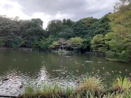 乃木神社の庭園