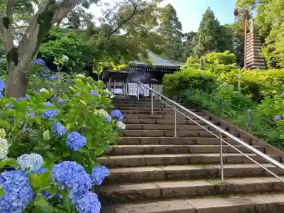 本土寺(千葉県)