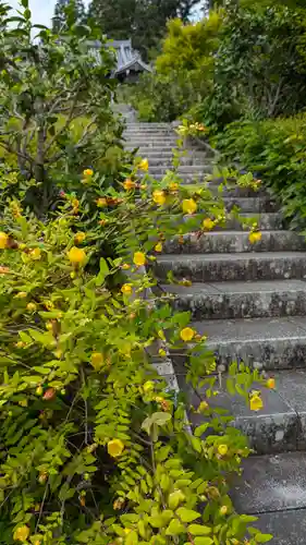 善峯寺(京都府)