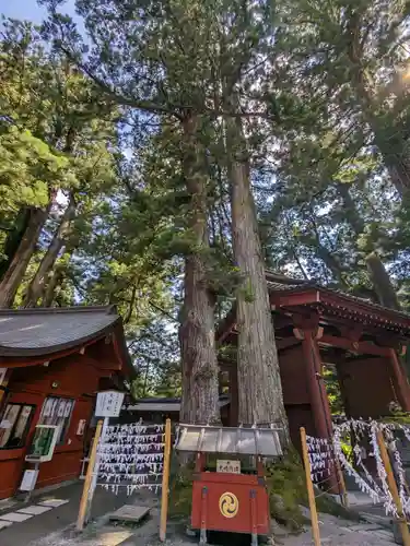 日光二荒山神社(栃木県)