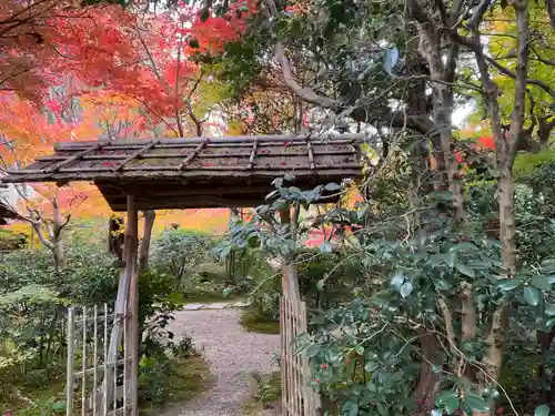 厭離庵(京都府)