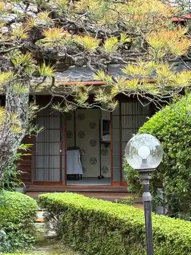 寶樹院（宝樹院）(京都府)