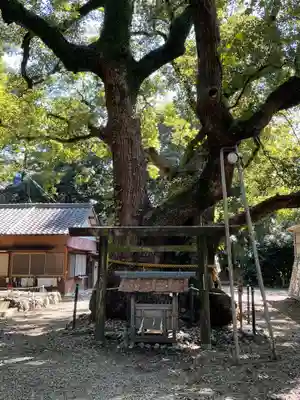 箕曲中松原神社の自然