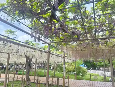 曼陀羅寺(愛知県)