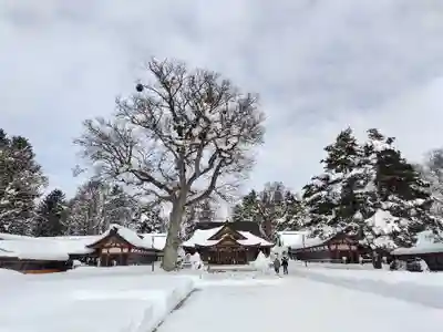 北海道護國神社の本殿・本堂