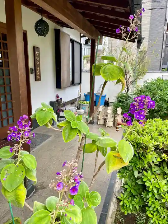 谷中 妙福寺(東京都)