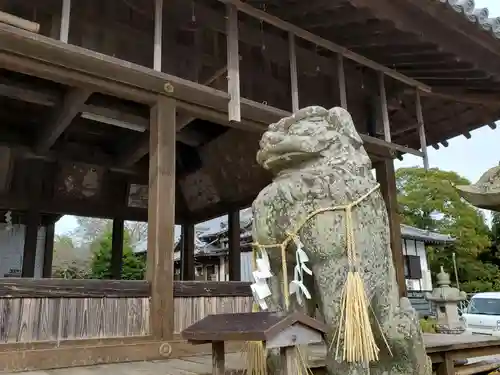八幡神社（志方八幡神社）の狛犬