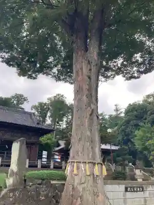 瀧宮神社(埼玉県)