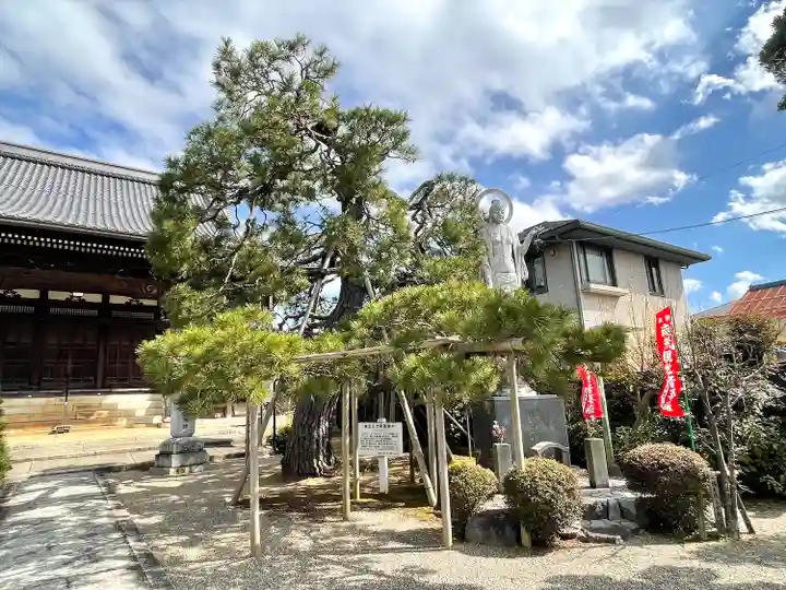 引接寺(滋賀県)