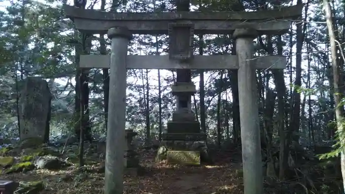 朝日稲荷神社の鳥居