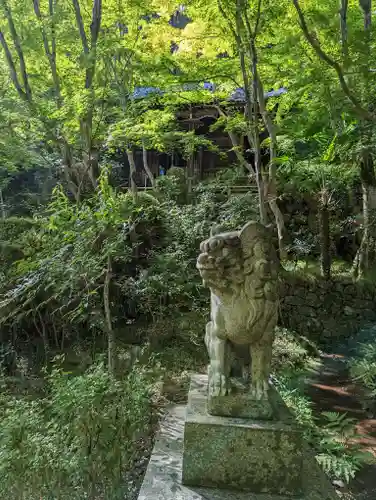 勝持寺（花の寺）の狛犬