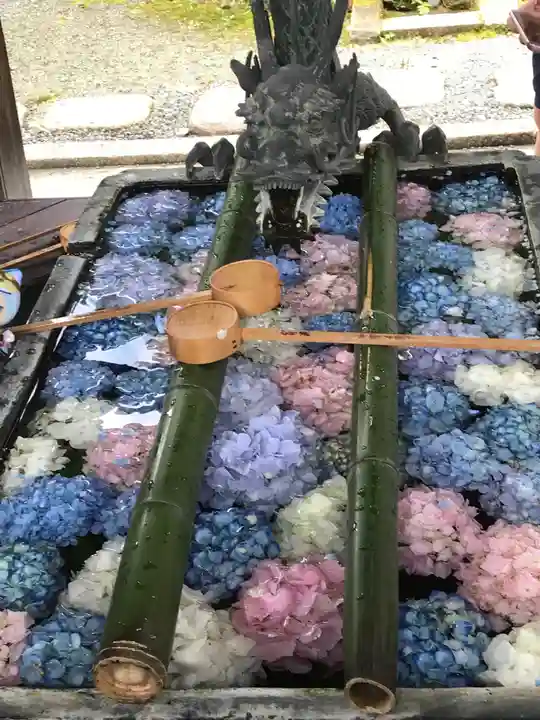 柳谷観音 楊谷寺の手水舎