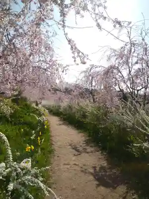 巳徳神社の周辺
