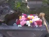 本郷氷川神社(東京都)