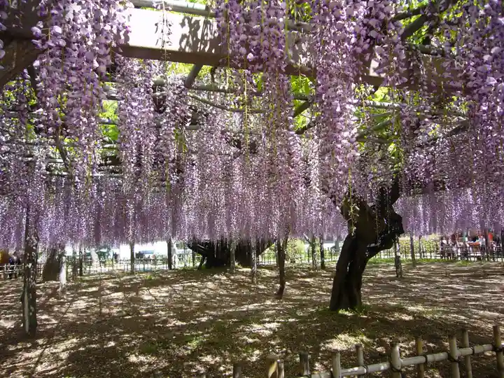 玉敷神社(埼玉県)