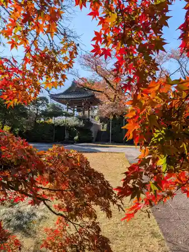 福蔵院(東京都)