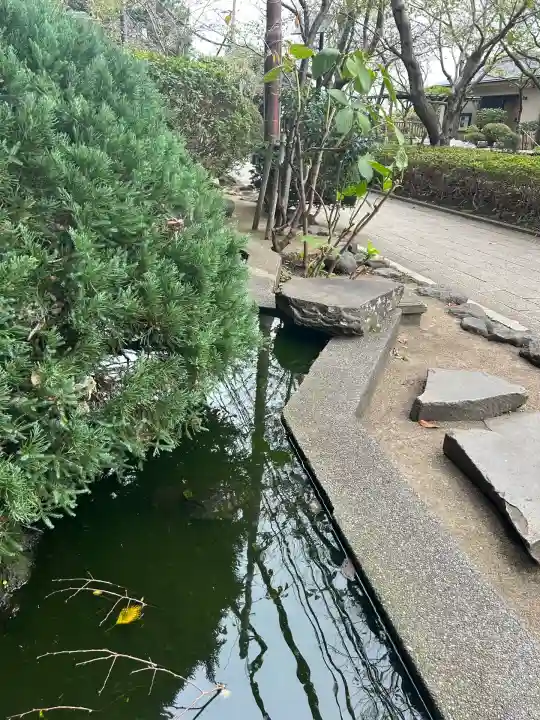 江島神社の動物