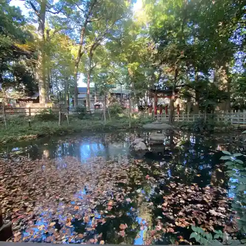 調神社の庭園