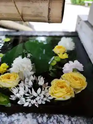 鳩森八幡神社の手水舎