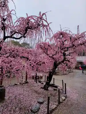 結城神社の庭園