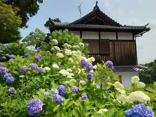 柳谷観音　楊谷寺の自然