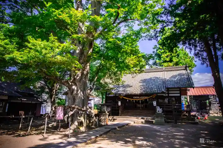 白鳥神社(長野県)