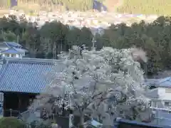 即清寺の景色