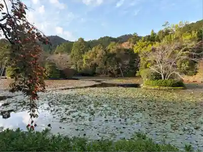 龍安寺(京都府)