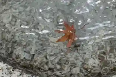 春日神社のその他建物