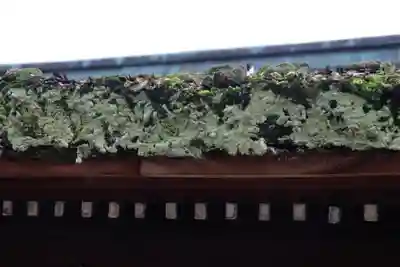 下御霊神社(京都府)