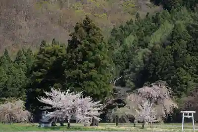 大山祇神社の景色