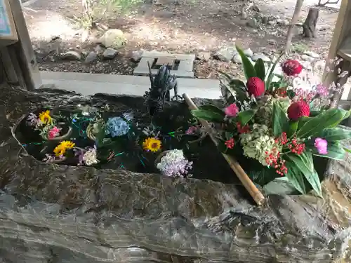 琴似神社の手水