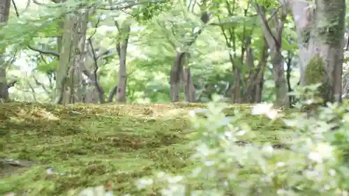東福禅寺（東福寺）(京都府)